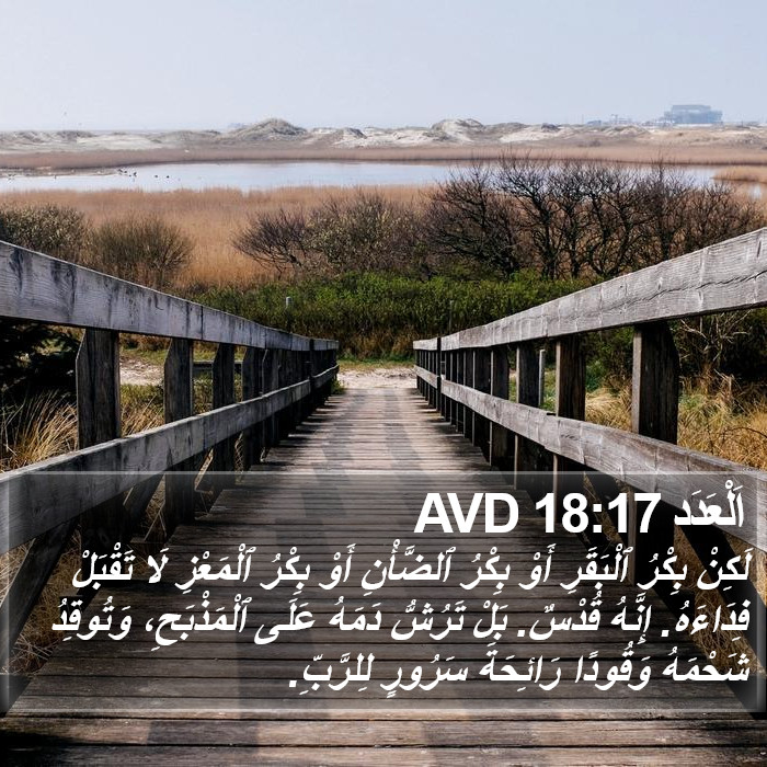 اَلْعَدَد 18:17 AVD Bible Study
