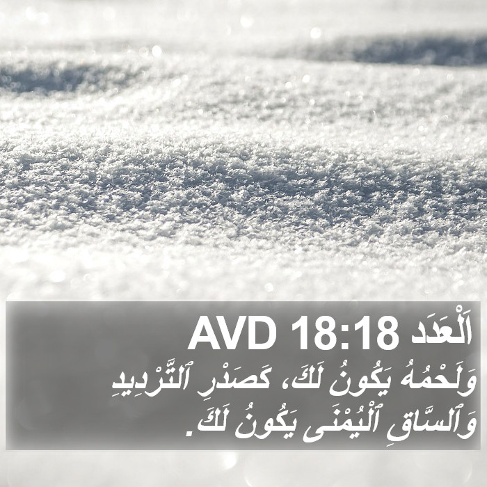 اَلْعَدَد 18:18 AVD Bible Study