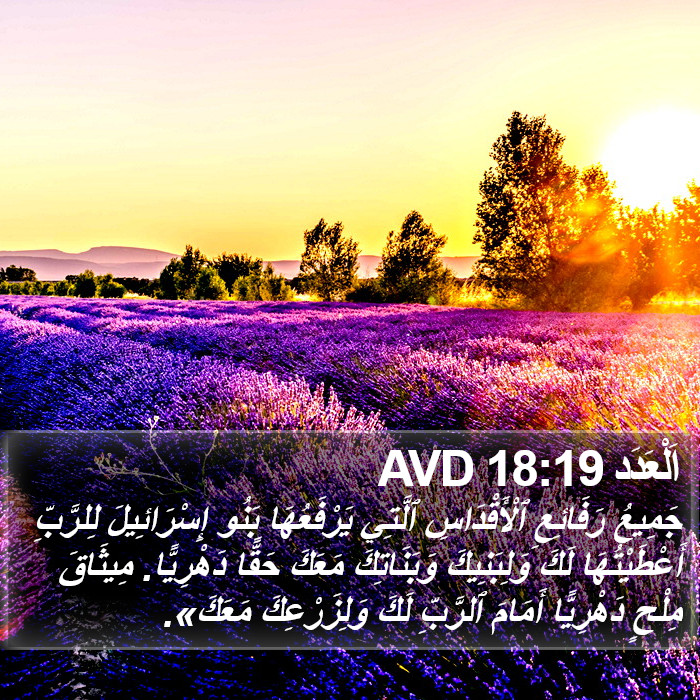 اَلْعَدَد 18:19 AVD Bible Study