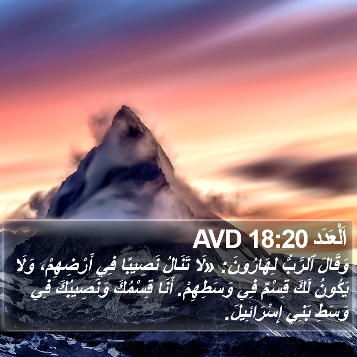 اَلْعَدَد 18:20 AVD Bible Study