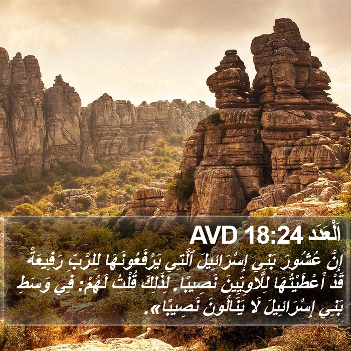 اَلْعَدَد 18:24 AVD Bible Study