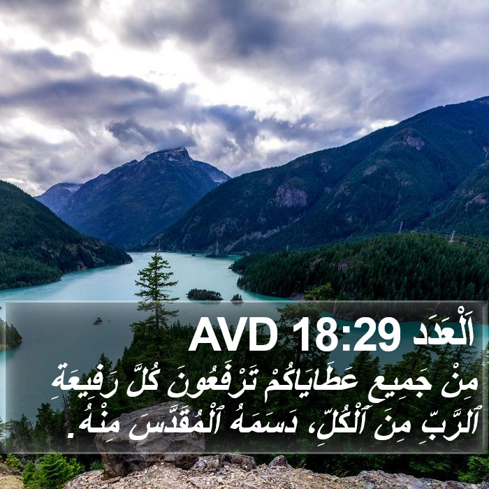 اَلْعَدَد 18:29 AVD Bible Study