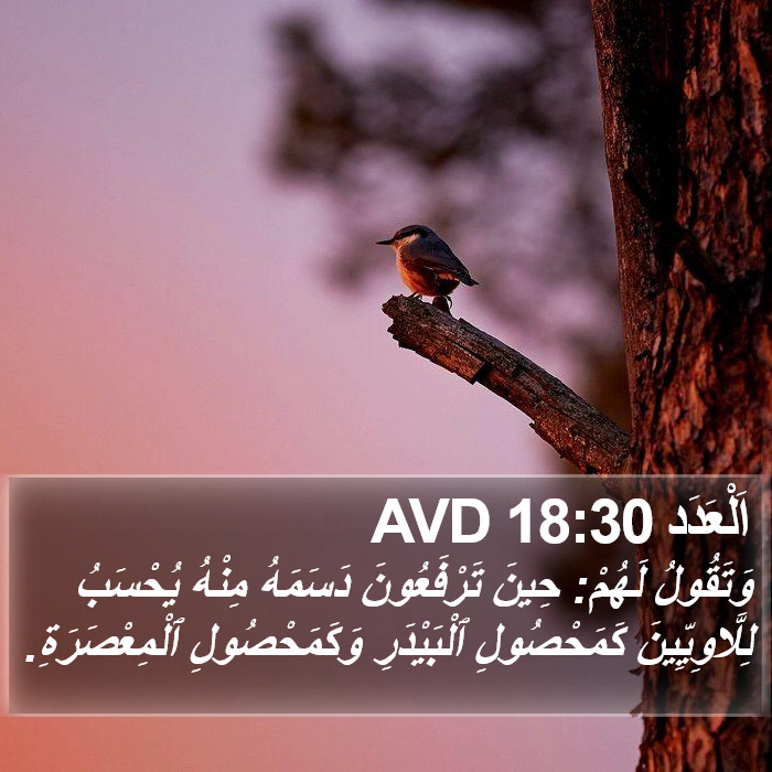 اَلْعَدَد 18:30 AVD Bible Study