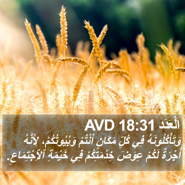 اَلْعَدَد 18:31 AVD Bible Study