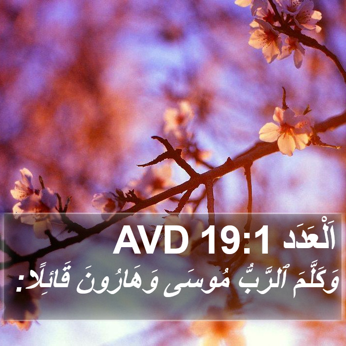 اَلْعَدَد 19:1 AVD Bible Study