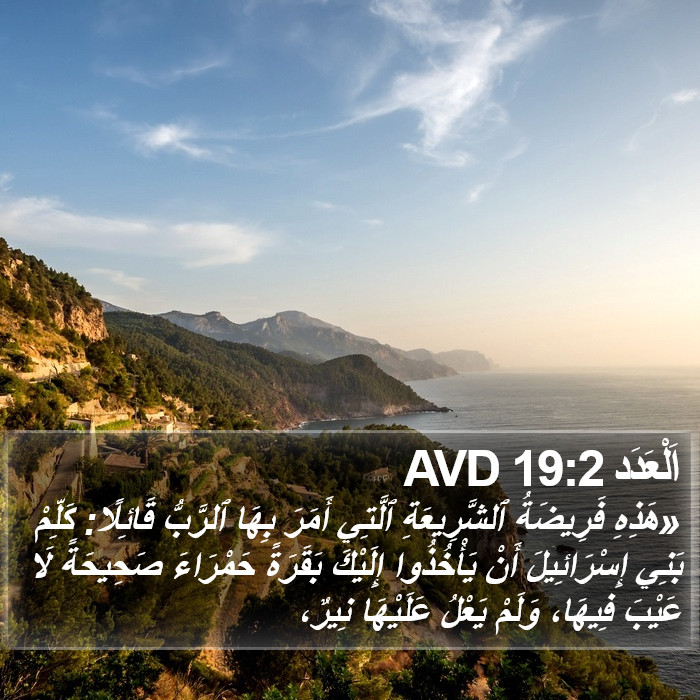 اَلْعَدَد 19:2 AVD Bible Study