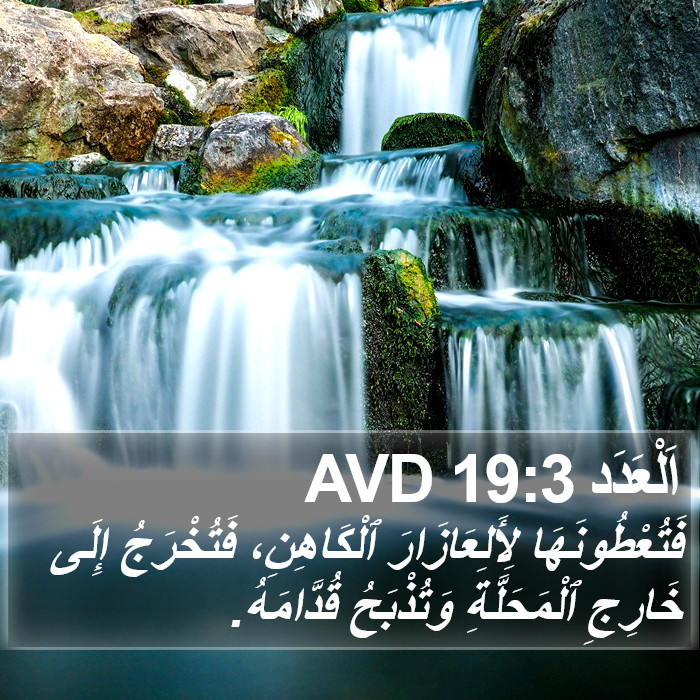 اَلْعَدَد 19:3 AVD Bible Study