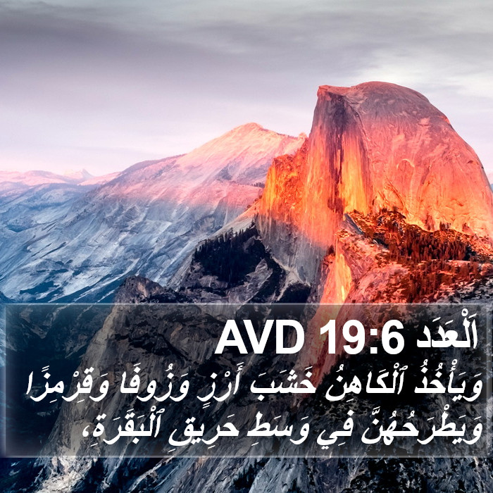 اَلْعَدَد 19:6 AVD Bible Study