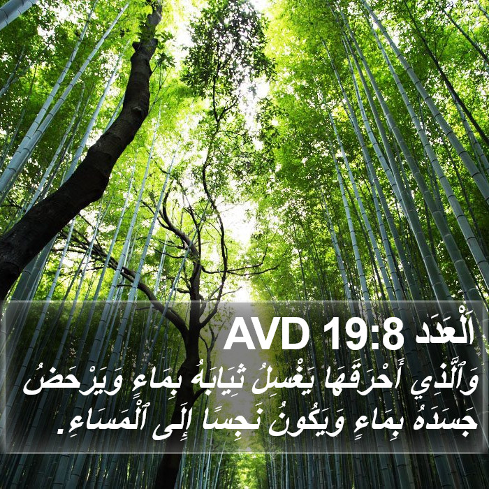 اَلْعَدَد 19:8 AVD Bible Study