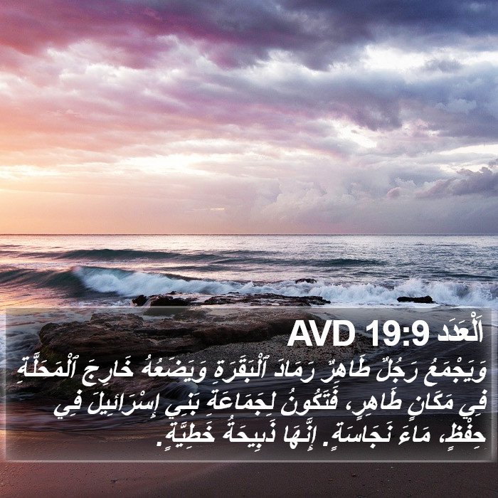 اَلْعَدَد 19:9 AVD Bible Study