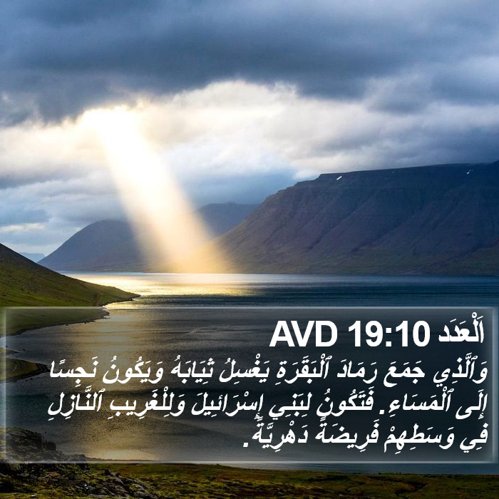 اَلْعَدَد 19:10 AVD Bible Study