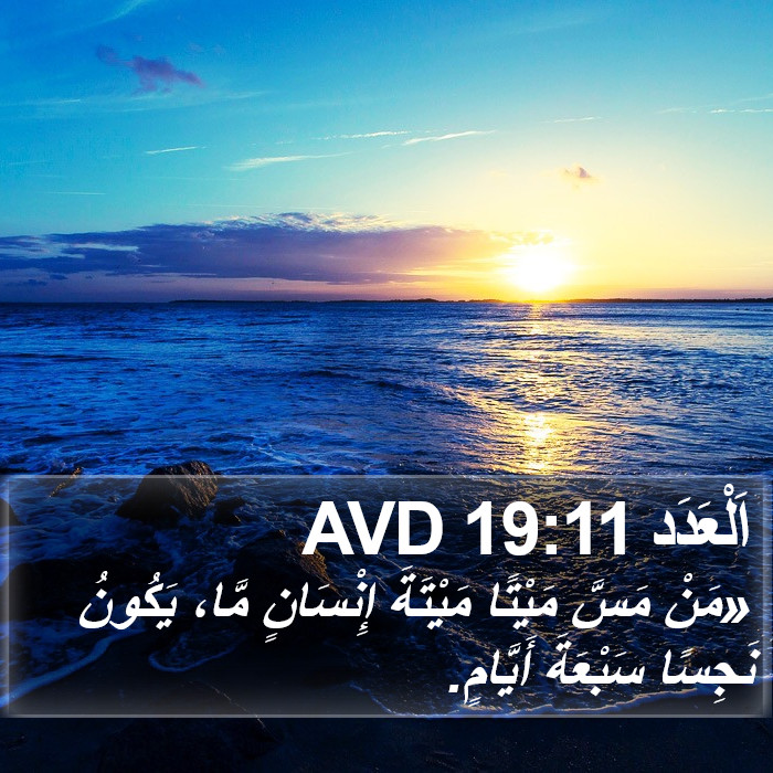 اَلْعَدَد 19:11 AVD Bible Study