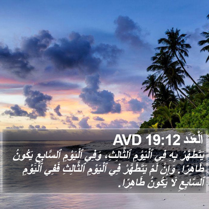 اَلْعَدَد 19:12 AVD Bible Study