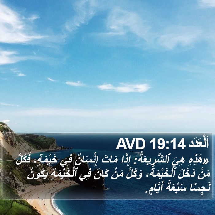 اَلْعَدَد 19:14 AVD Bible Study