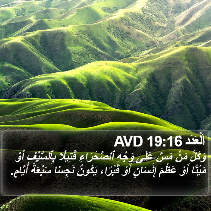 اَلْعَدَد 19:16 AVD Bible Study