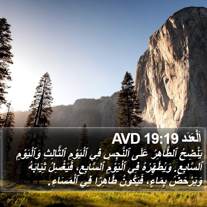 اَلْعَدَد 19:19 AVD Bible Study