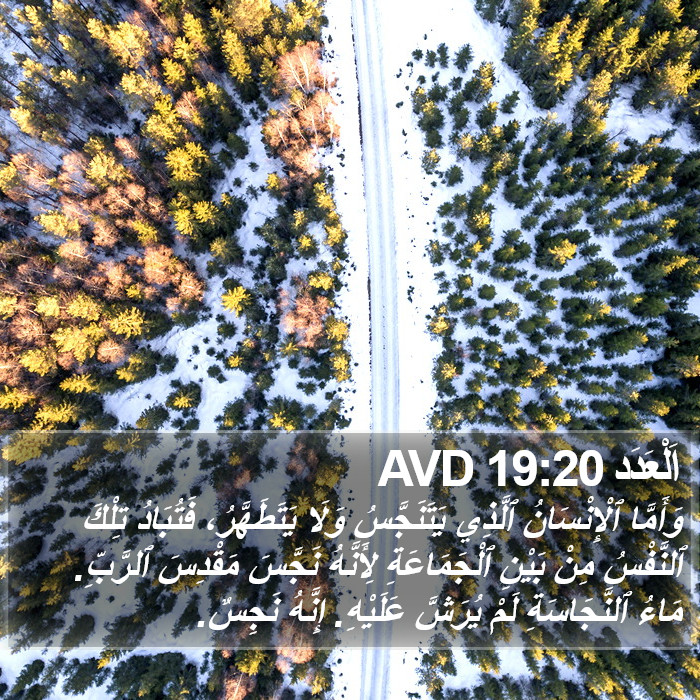 اَلْعَدَد 19:20 AVD Bible Study