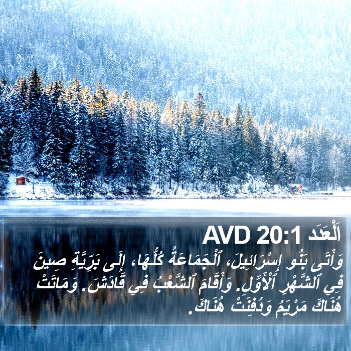 اَلْعَدَد 20:1 AVD Bible Study