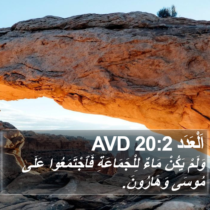 اَلْعَدَد 20:2 AVD Bible Study