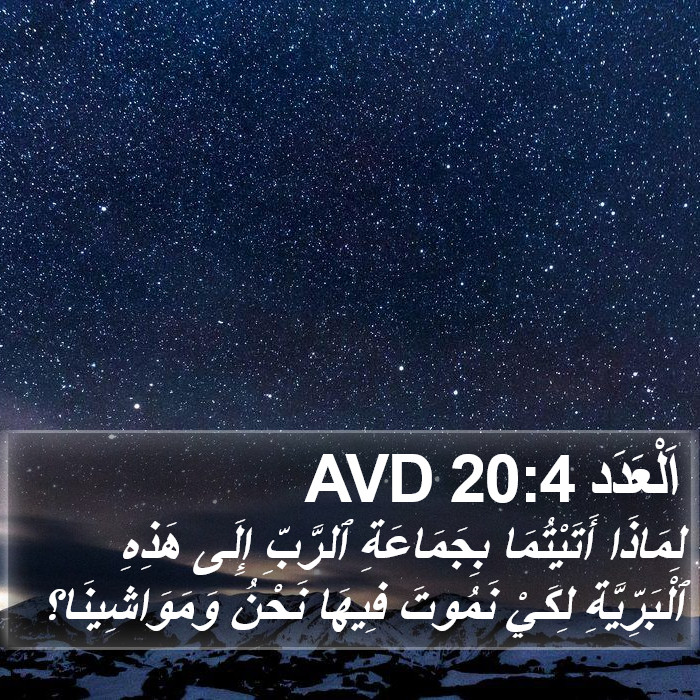اَلْعَدَد 20:4 AVD Bible Study