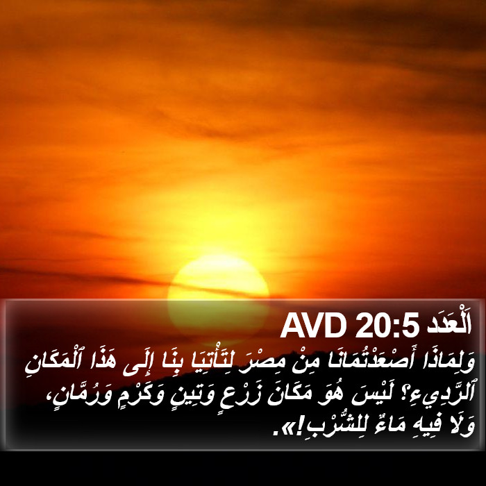 اَلْعَدَد 20:5 AVD Bible Study