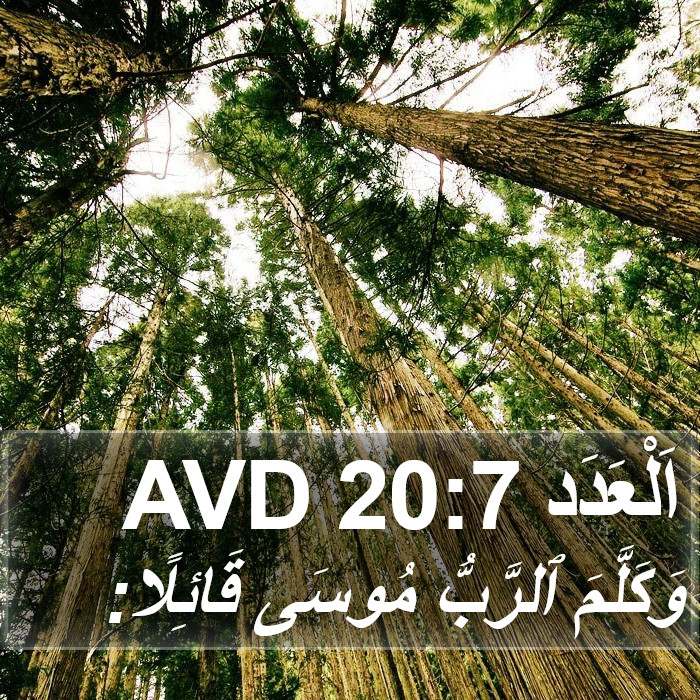 اَلْعَدَد 20:7 AVD Bible Study