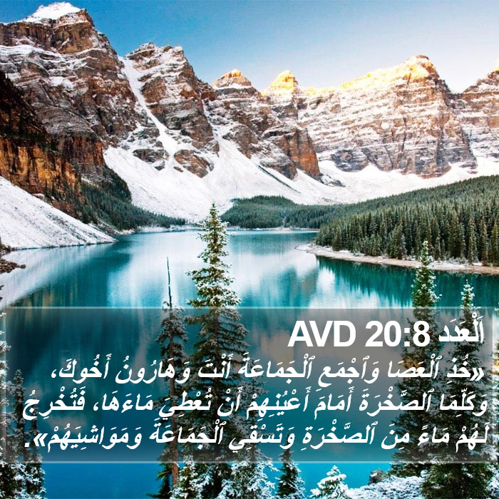اَلْعَدَد 20:8 AVD Bible Study