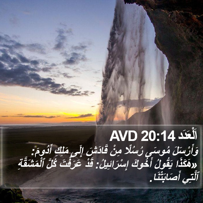 اَلْعَدَد 20:14 AVD Bible Study