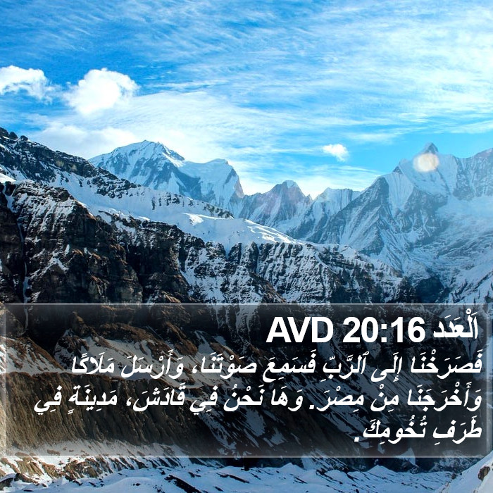 اَلْعَدَد 20:16 AVD Bible Study