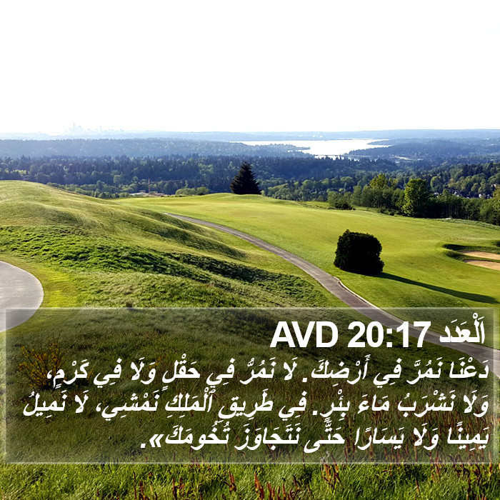 اَلْعَدَد 20:17 AVD Bible Study