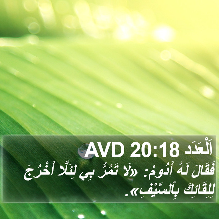 اَلْعَدَد 20:18 AVD Bible Study
