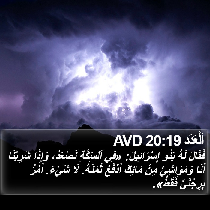اَلْعَدَد 20:19 AVD Bible Study