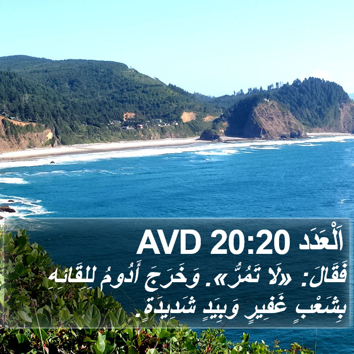 اَلْعَدَد 20:20 AVD Bible Study