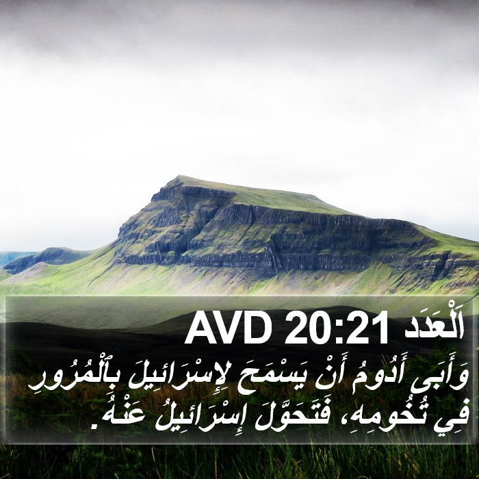 اَلْعَدَد 20:21 AVD Bible Study