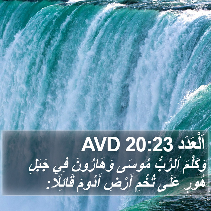اَلْعَدَد 20:23 AVD Bible Study