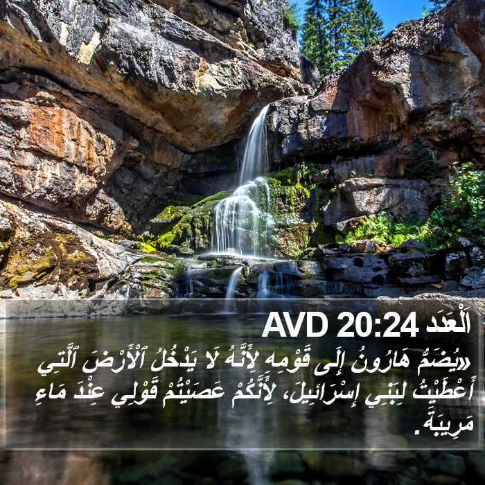 اَلْعَدَد 20:24 AVD Bible Study