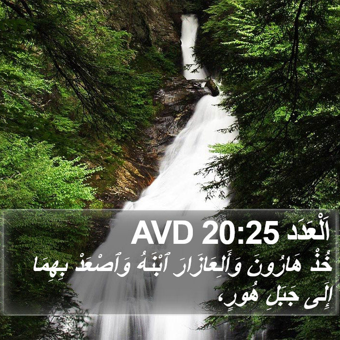 اَلْعَدَد 20:25 AVD Bible Study
