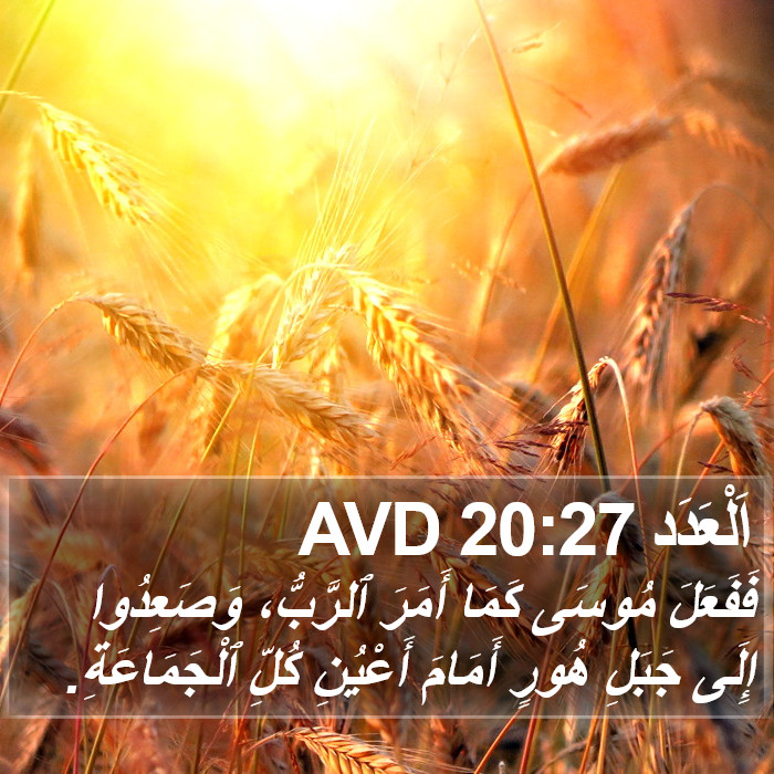 اَلْعَدَد 20:27 AVD Bible Study