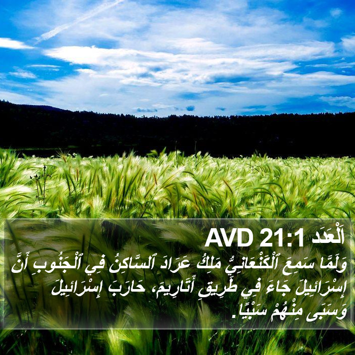 اَلْعَدَد 21:1 AVD Bible Study