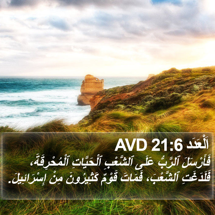 اَلْعَدَد 21:6 AVD Bible Study