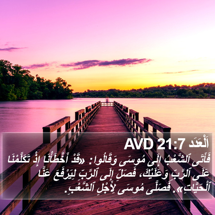 اَلْعَدَد 21:7 AVD Bible Study