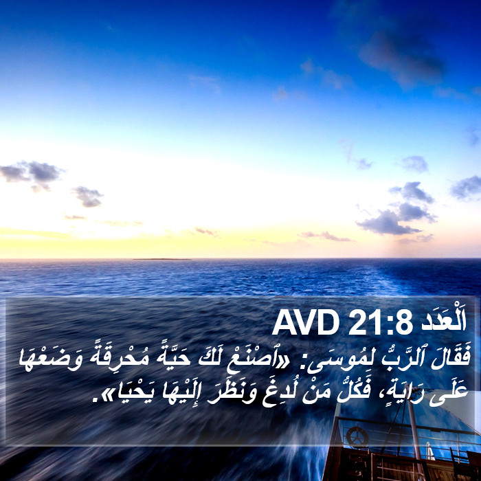 اَلْعَدَد 21:8 AVD Bible Study