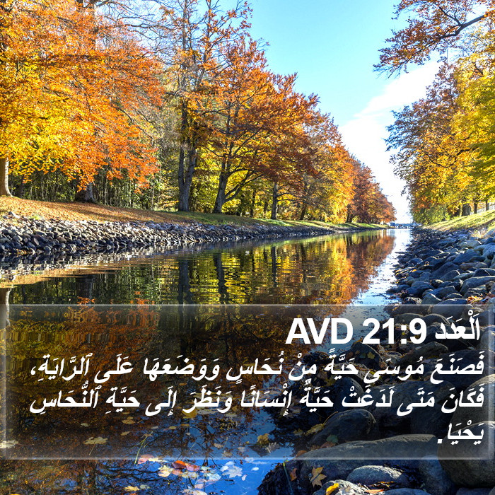 اَلْعَدَد 21:9 AVD Bible Study