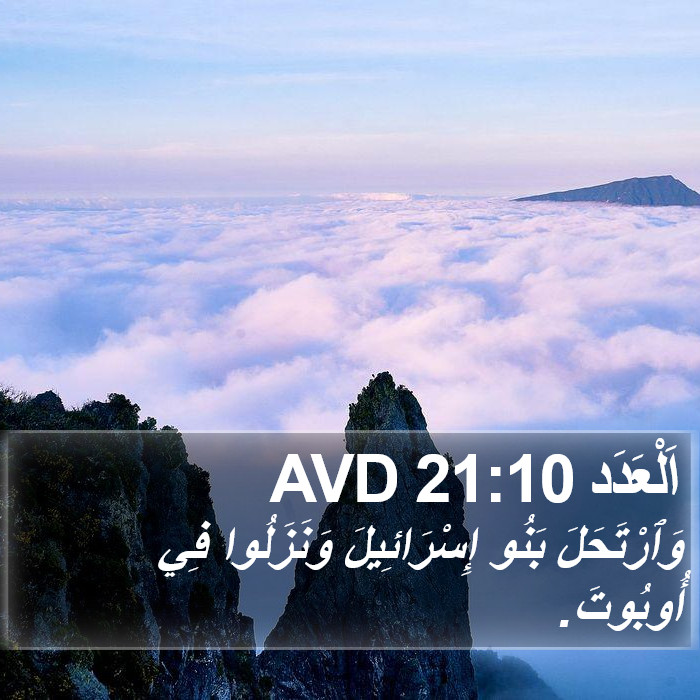 اَلْعَدَد 21:10 AVD Bible Study