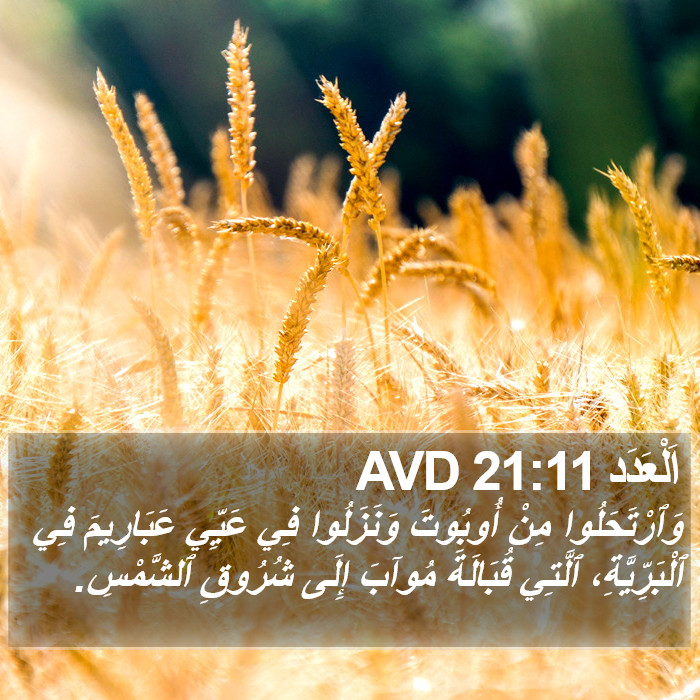 اَلْعَدَد 21:11 AVD Bible Study