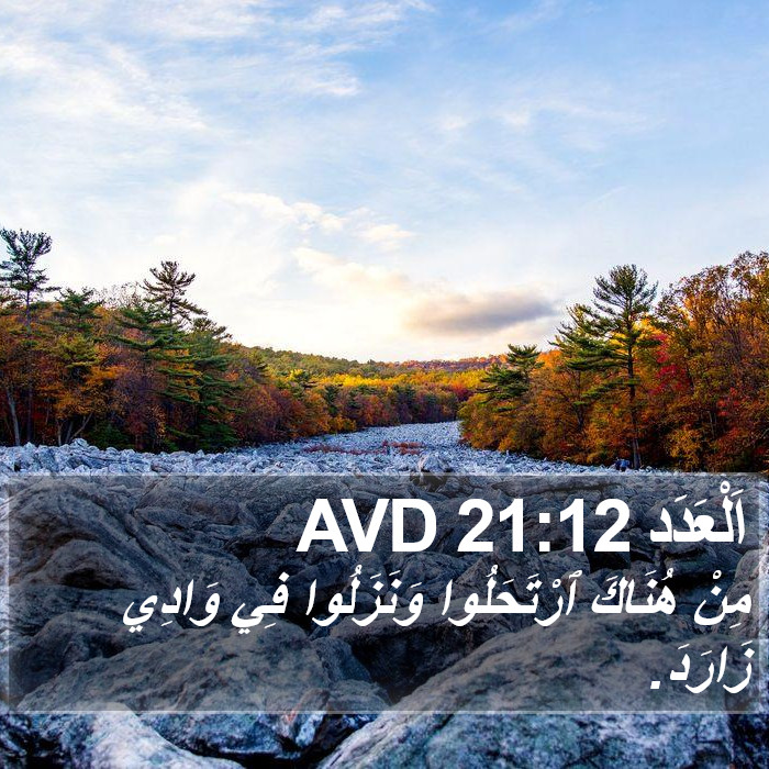 اَلْعَدَد 21:12 AVD Bible Study