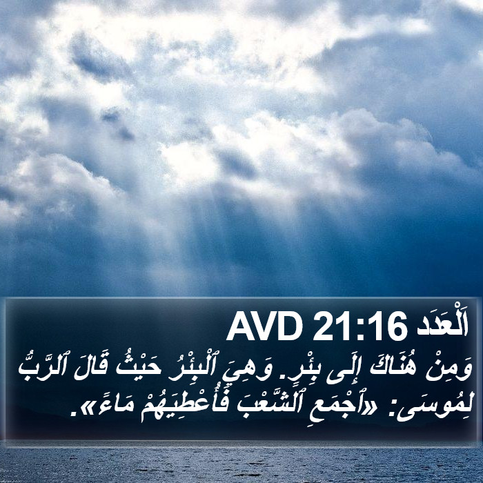 اَلْعَدَد 21:16 AVD Bible Study