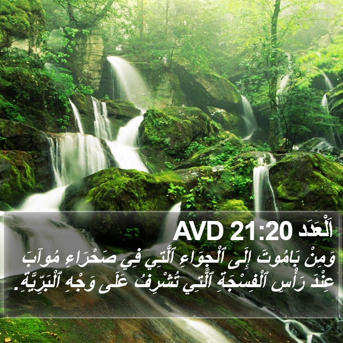 اَلْعَدَد 21:20 AVD Bible Study