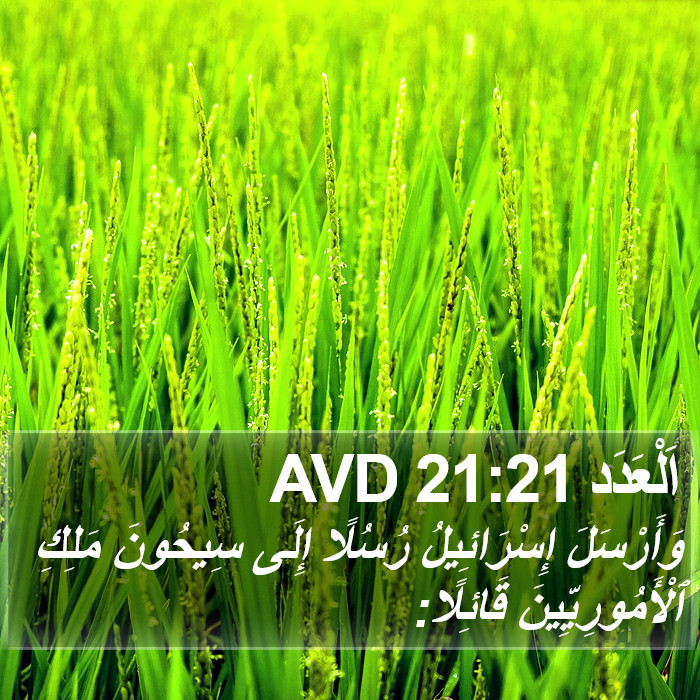 اَلْعَدَد 21:21 AVD Bible Study