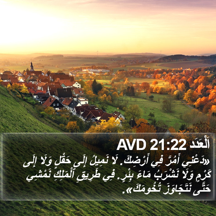 اَلْعَدَد 21:22 AVD Bible Study